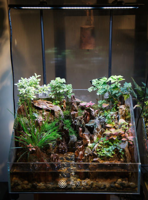 水陆缸 商品图0