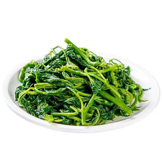 【农产蔬菜】桑嫩芽250g 商品图0
