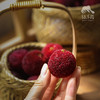 有机仙居东魁杨梅（25号左右开始排单发货） | 合作生产*Eco-waxberry | Coproduction 商品缩略图2