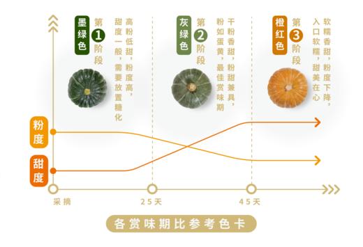 三色栗栗南瓜（贝贝南瓜） 商品图3