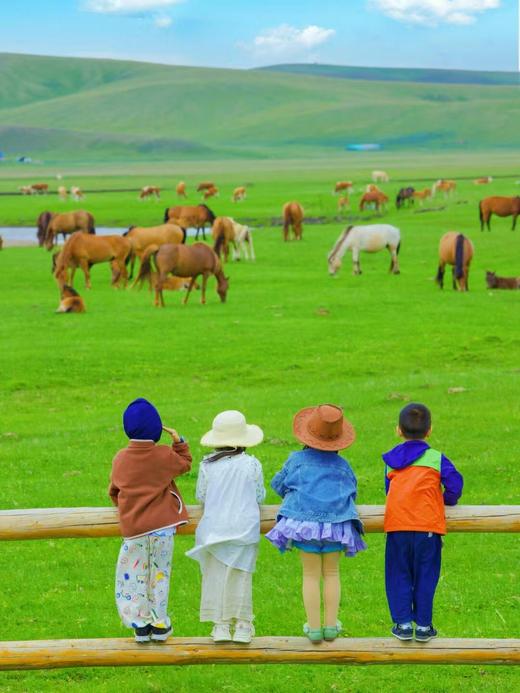 内蒙大草原·双飞6日游【业主专团】纯玩0购物 小区接送-一次出游玩遍内蒙古中部三大草原 【旅游】 商品图3