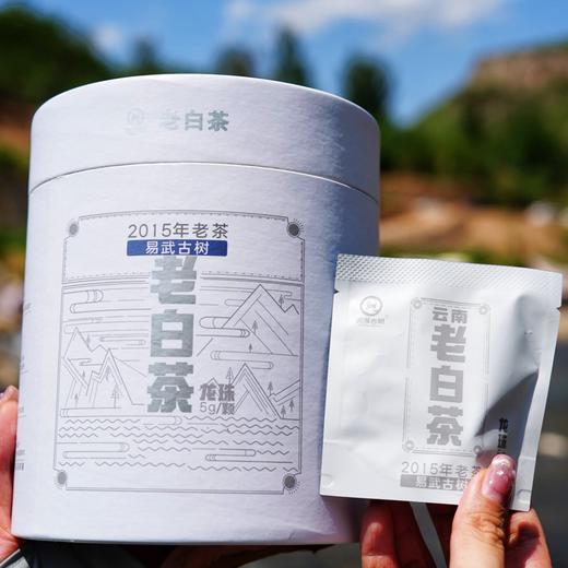 2015年洪海古树·易武龙珠老白茶，香气清幽，送手提礼袋 商品图2