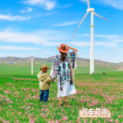 内蒙大草原·双飞6日游【业主专团】纯玩0购物 小区接送-一次出游玩遍内蒙古中部三大草原 【旅游】 商品图0