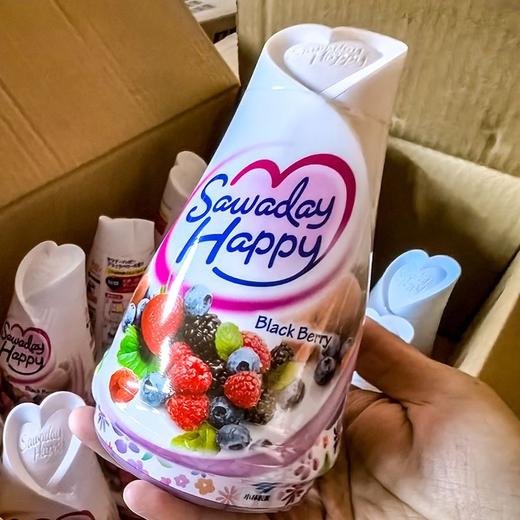 日本小林消臭元室内客厅空气清新剂厕所除臭神器清香去味固体香薰效期26年11月 商品图2