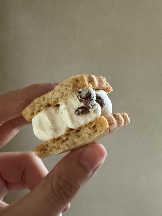 艾许黄油Échiré朗姆红酒提子白脱饼干Butter Cookies/6枚 商品图3