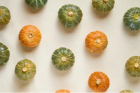 三色栗栗南瓜（贝贝南瓜）