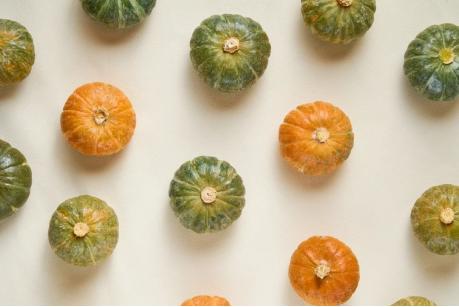 三色栗栗南瓜（贝贝南瓜） 商品图0