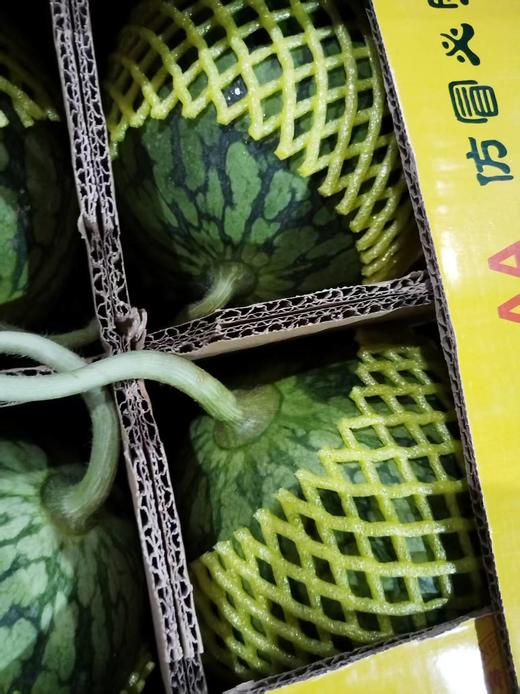 【非常甜 实际3斤左右】 酱爆冰激凌黄西瓜，弹就破，超级新鲜！注意⚠️西瓜外送会有裂开的风险，介意不要拍！ 商品图3