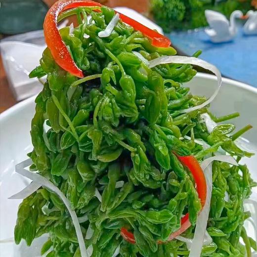 【农产蔬菜】夜兰花250g （冷冻包装） 商品图2