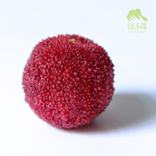 有机仙居东魁杨梅（25号左右开始排单发货） | 合作生产*Eco-waxberry | Coproduction 商品图5