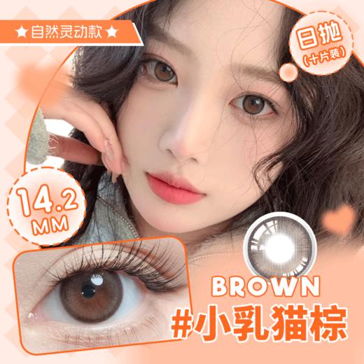 YR10 元气小蓝 小乳猫棕 14.2 50%含水 日抛 10片 商品图0