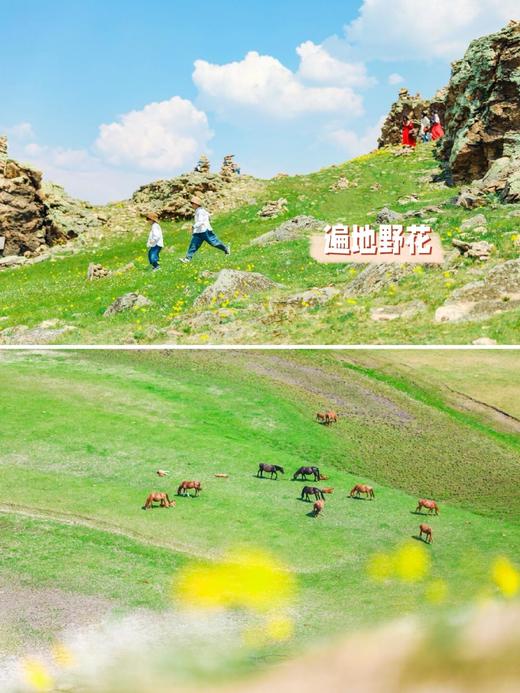 内蒙大草原·双飞6日游【业主专团】纯玩0购物 小区接送-一次出游玩遍内蒙古中部三大草原 【旅游】 商品图9