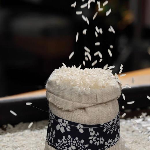 增城丝苗米5kg 商品图1