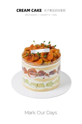 杏子蜜瓜奶油蛋糕