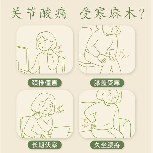 云南白药泰邦 艾草贴（颈椎贴+腰椎贴+肩周贴）9.8cm*13cm/贴*12贴/袋*1袋/盒 共发3盒 厂家直发 商品图2