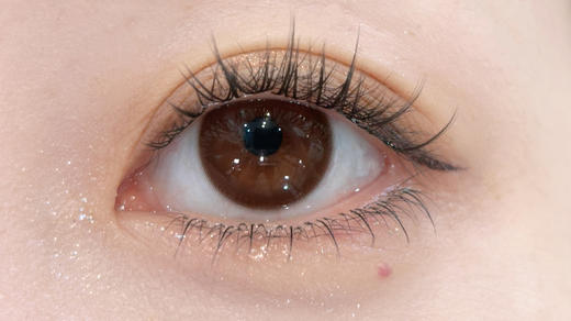 Papadox 焦糖牛角包 日抛 十片 14.5mm 参考着色 13.8mm 基弧 8.7 含水 50% 新锐国货 商品图2