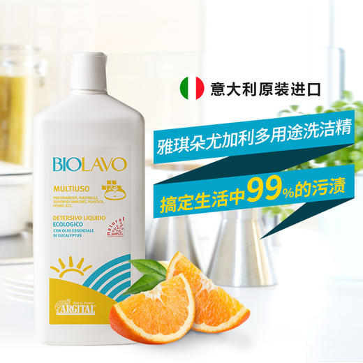 家清系列（绿泥洗碗精、多用途清洁剂）1000ml  全国包邮配送（偏远地区除外） 商品图8