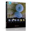 有生命的宝石 微距中的虫卵世界 走进蝴蝶的宝石秘密基地等收录60余种昆虫 发现故事科普自然类图书 商品缩略图1