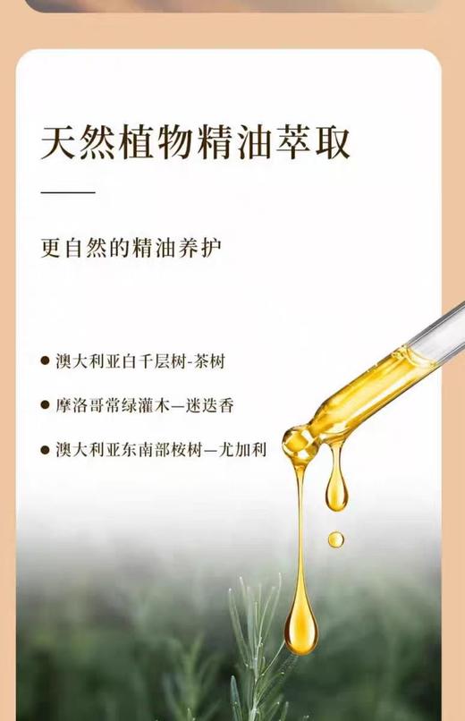 舒蕾芳韵控油去屑洗发露800g【宝库优选】 商品图1