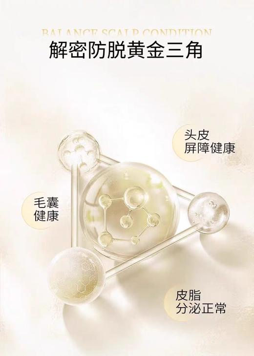 滋源生姜强根健发洗发水【宝库优选】 商品图4