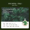 宋朝四时景香包车载香薰定制汽车香氛摆件持久桂花衣柜香囊挂饰四时景香薰包青松栀白赴桂新茶 商品缩略图3