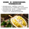 泰国金枕鲜榴莲单个装 商品缩略图3