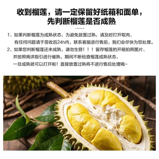 泰国金枕鲜榴莲单个装 商品图3