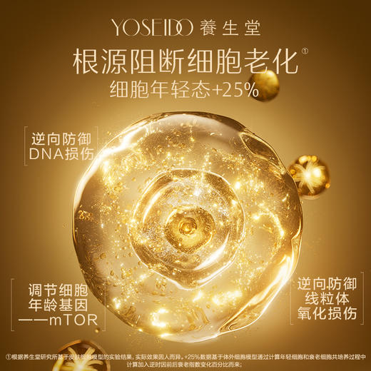 【全新升级】全新冬孕精华露（净颜焕肤）Pro 商品图2