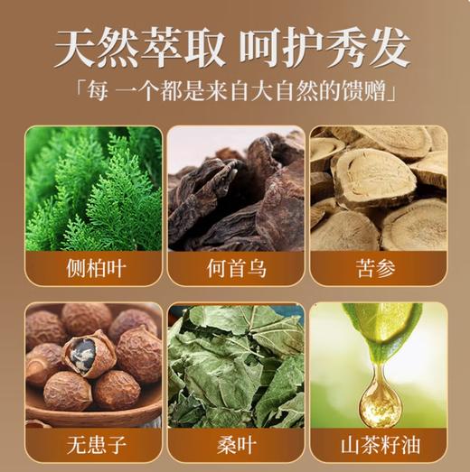 洗发皂 侧柏叶何首乌香皂角中草药护发皂男女适用 商品图2