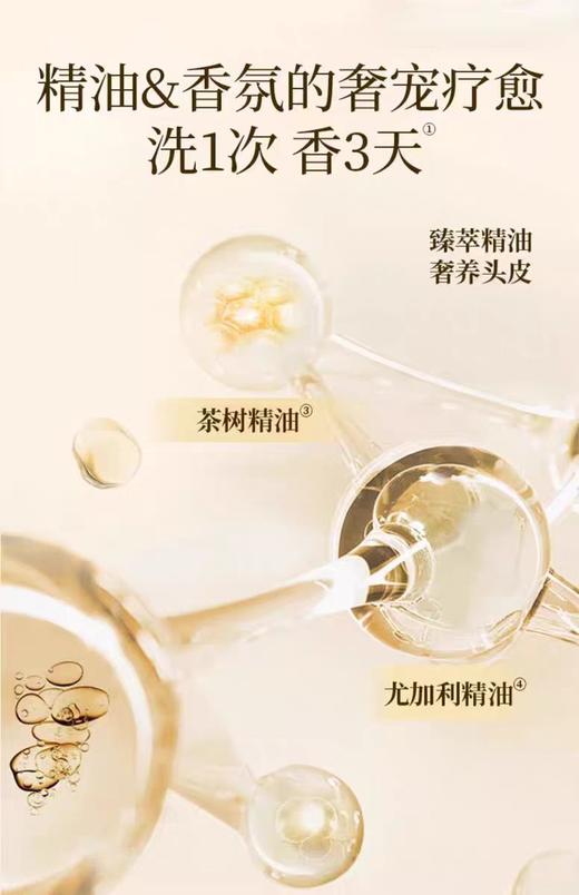 舒蕾芳韵控油去屑洗发露800g【宝库优选】 商品图2