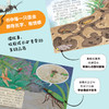《给孩子的法布尔昆虫记》注音版  全10册 5-14岁 20个昆虫故事260幅彩绘大图100+昆虫知识 保留原著精髓，创新改编故事 让孩子轻松读名著 赠：昆虫贴纸一张 商品缩略图2