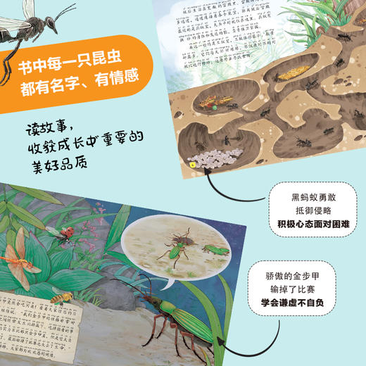 《给孩子的法布尔昆虫记》注音版  全10册 5-14岁 20个昆虫故事260幅彩绘大图100+昆虫知识 保留原著精髓，创新改编故事 让孩子轻松读名著 赠：昆虫贴纸一张 商品图2