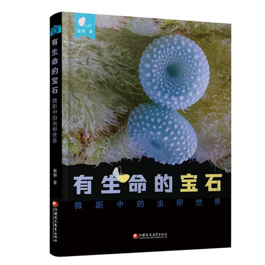 有生命的宝石 微距中的虫卵世界 走进蝴蝶的宝石秘密基地等收录60余种昆虫 发现故事科普自然类图书 商品图3