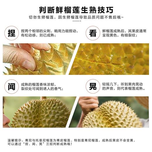 泰国金枕鲜榴莲单个装 商品图4