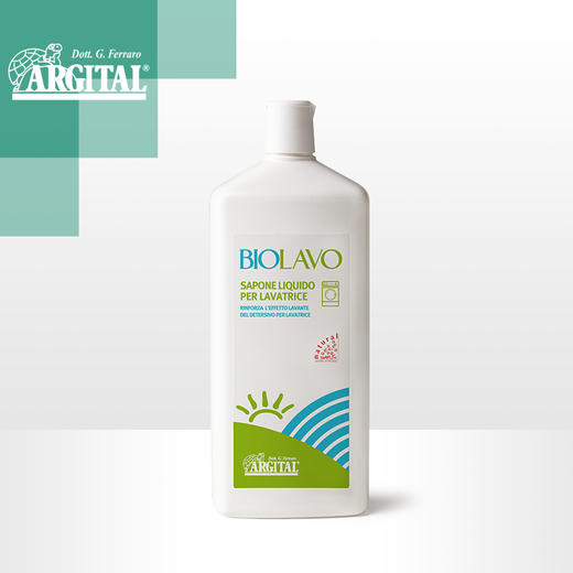 家清系列洗衣液 1000ml 全国包邮配送（偏远地区除外） 商品图0