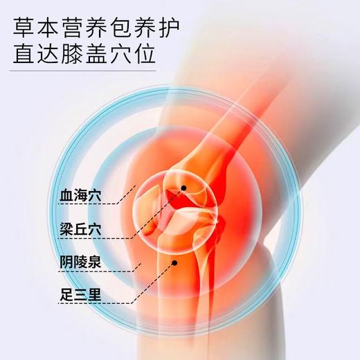 云南白药泰邦 草本热敷暖膝贴 219mm*145mm A型 1片/袋*6袋/盒 共发2盒 厂家直发 商品图4