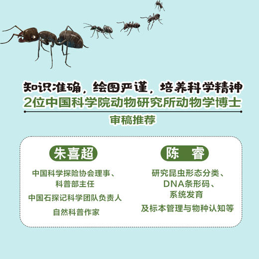 《给孩子的法布尔昆虫记》注音版  全10册 5-14岁 20个昆虫故事260幅彩绘大图100+昆虫知识 保留原著精髓，创新改编故事 让孩子轻松读名著 赠：昆虫贴纸一张 商品图6
