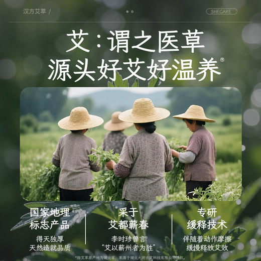 舒莱艾草芯汉方艾萃卫生巾超值10包囤货组合 商品图2