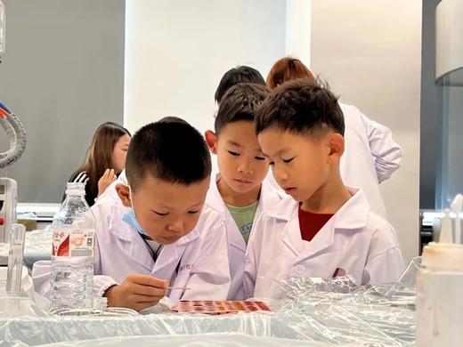【暑期科学实验走读班】探索科学，培养创新（5-9岁） 商品图4