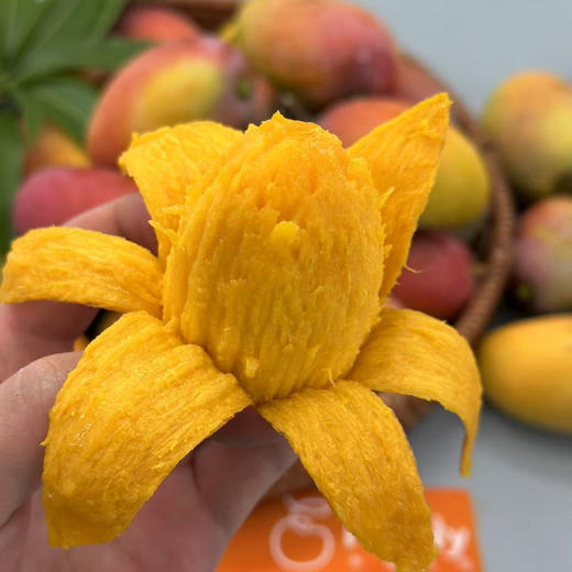 海南树熟18°「小贵妃芒」整件 约2~2.1kg 商品图2