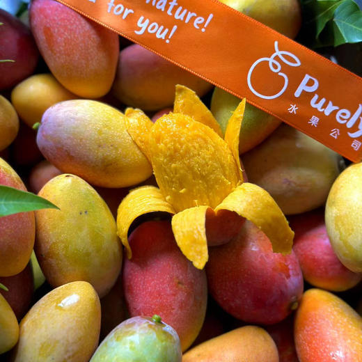 海南树熟18°「小贵妃芒」整件 约2~2.1kg 商品图12