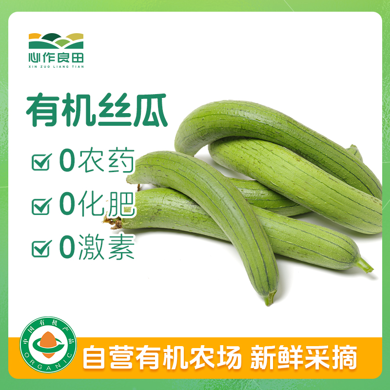 有机丝瓜 500g