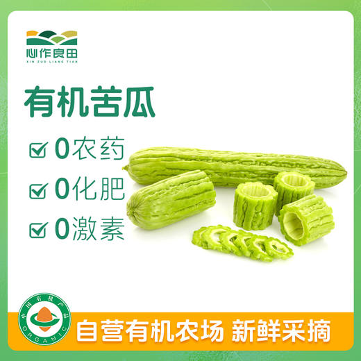 有机苦瓜 500g 商品图0