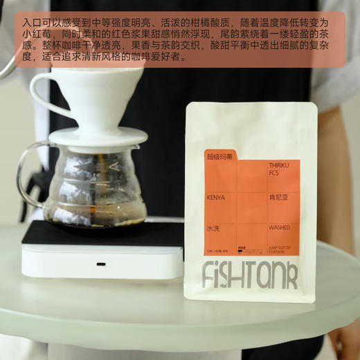 肯尼亚 超级玛蒂 水洗 浅烘焙手冲咖啡豆 商品图2