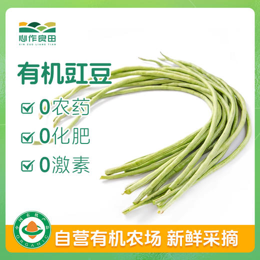 有机豇豆 500g 商品图0