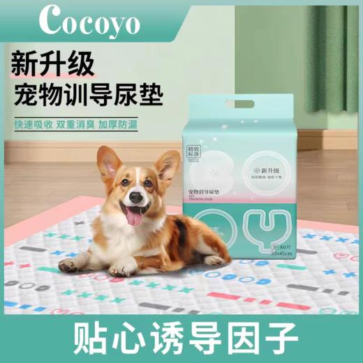 扬爪宠物尿片 商品图0