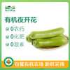 有机夜开花（瓠瓜）350g 商品缩略图0