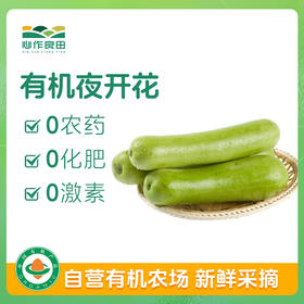 有机夜开花（瓠瓜）350g