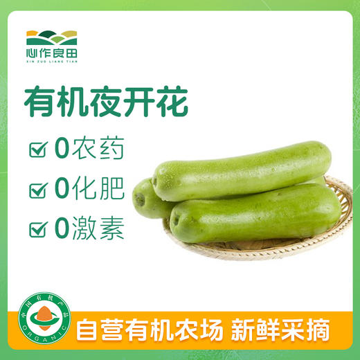 有机夜开花（瓠瓜）350g 商品图0