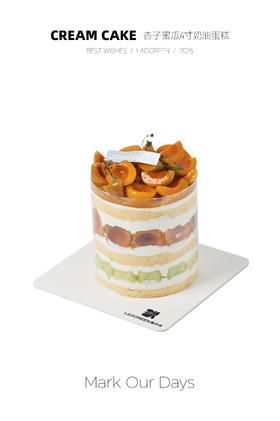 杏子蜜瓜奶油蛋糕4寸